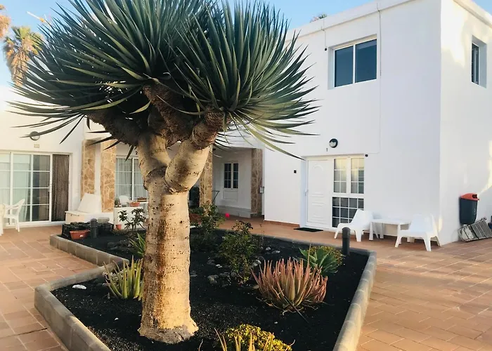 Luna De Lobos * Corralejo