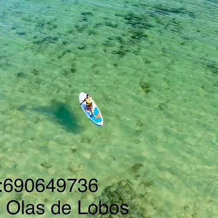 Apartamento Luna De Lobos Corralejo